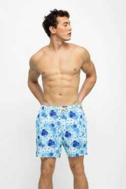 Men's Swim Shorts / Blueberry Shortcake -BLACKBOUGH SWIM Sales BLUEBERRY MENSSHORTS4