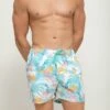 Men's Board Shorts / Le Surf