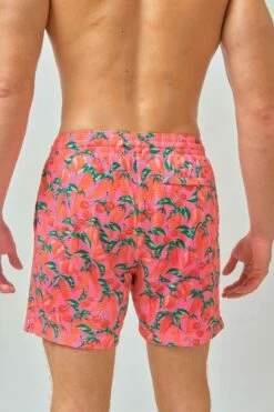 Men's Swim Shorts / Spicy Peppers 7 Men's Swim Shorts / Spicy Peppers -BLACKBOUGH SWIM Sales spicy peppers MENS 9